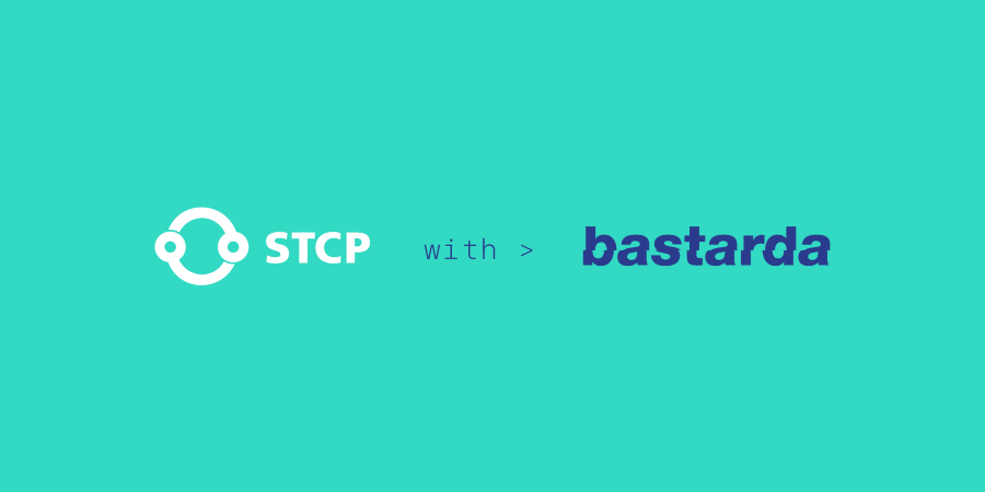 STCP confia comunicação à agência Bastarda